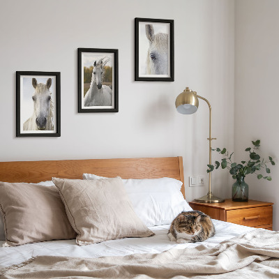 3-piece wall art set White horses in various poses against a natural background