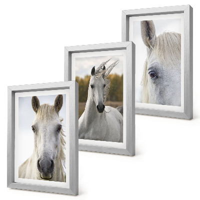 3-piece wall art set White horses in various poses against a natural background