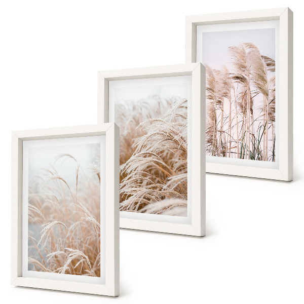 3-piece wall art set Fields of grass in delicate shades of brown and beige