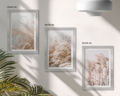 3-piece wall art set Fields of grass in delicate shades of brown and beige