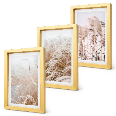 3-piece wall art set Fields of grass in delicate shades of brown and beige