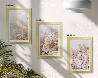 3-piece wall art set Fields of grass in delicate shades of brown and beige