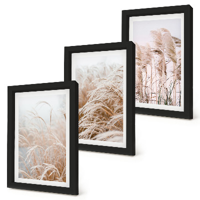 3-piece wall art set Fields of grass in delicate shades of brown and beige