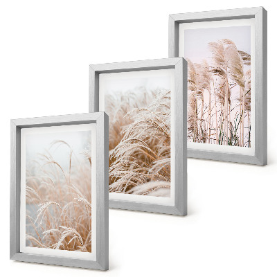 3-piece wall art set Fields of grass in delicate shades of brown and beige