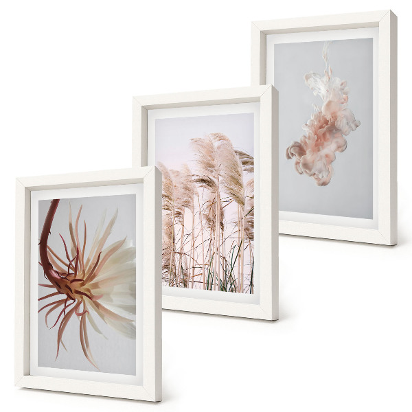 Photo frame wall Flowers and grasses on a light background in a harmonious set