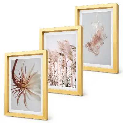 Photo frame wall featuring flowers and grasses on a light background in a harmonious set