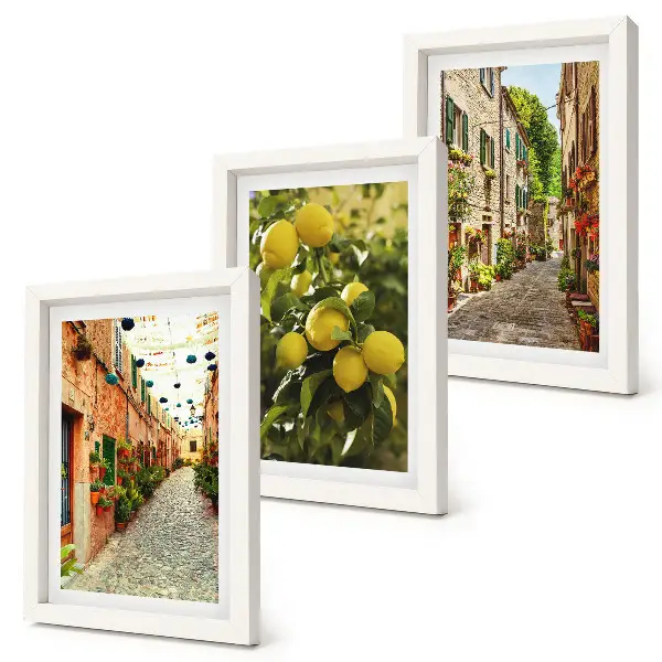3-piece wall art set charming streets with flowers and lemons background