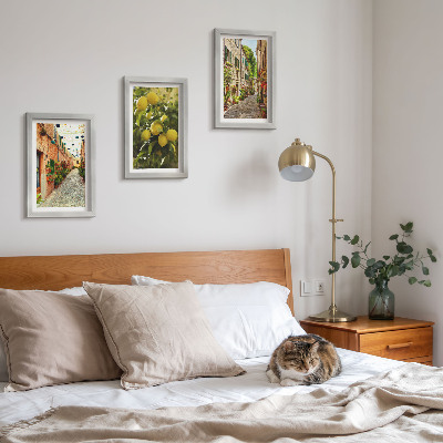 3-piece wall art set Charming streets with flowers and lemons in the background