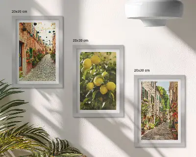 3-piece wall art set charming streets with flowers and lemons background
