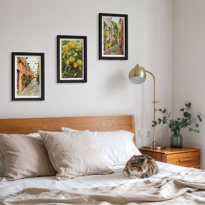 3-piece wall art set Charming streets with flowers and lemons in the background