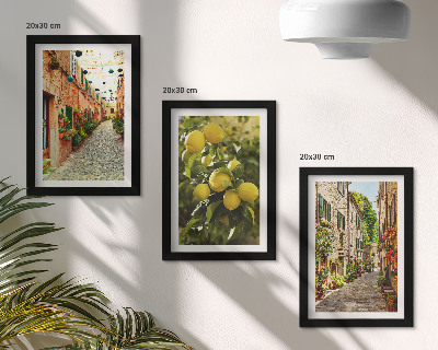 3-piece wall art set Charming streets with flowers and lemons in the background