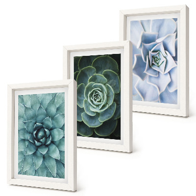 3-piece wall art set Succulent plants in shades of green and turquoise
