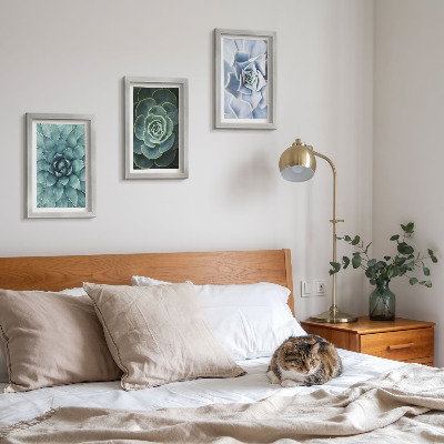 3-piece wall art set Succulent plants in shades of green and turquoise