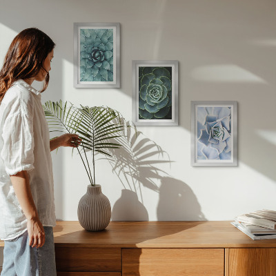 3-piece wall art set Succulent plants in shades of green and turquoise