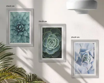 3-piece wall art set succulent plants with green and turquoise accents