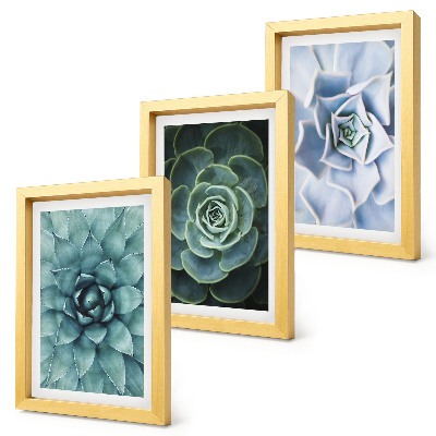 3-piece wall art set Succulent plants in shades of green and turquoise