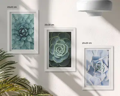 3-piece wall art set succulent plants with green and turquoise accents