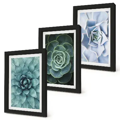 3-piece wall art set succulent plants with green and turquoise accents