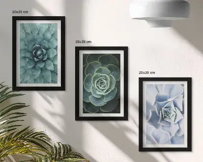 3-piece wall art set succulent plants with green and turquoise accents