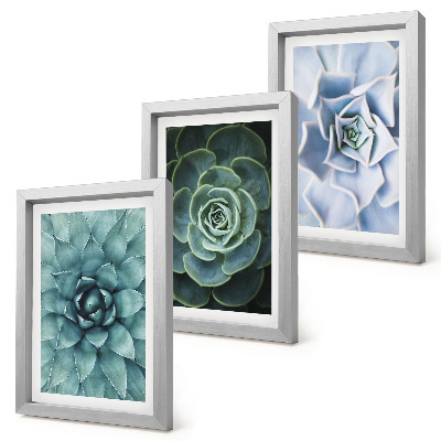 3-piece wall art set Succulent plants in shades of green and turquoise