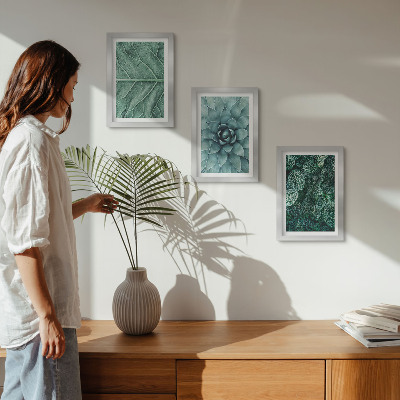 Photo frame wall Close-ups of succulent plants and leaves