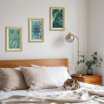 Photo frame wall with close-ups of succulent plants and leaves