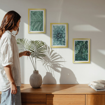Photo frame wall Close-ups of succulent plants and leaves