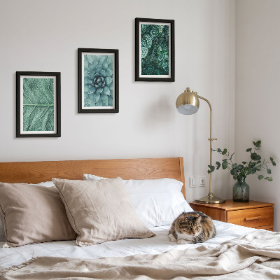 Photo frame wall Close-ups of succulent plants and leaves