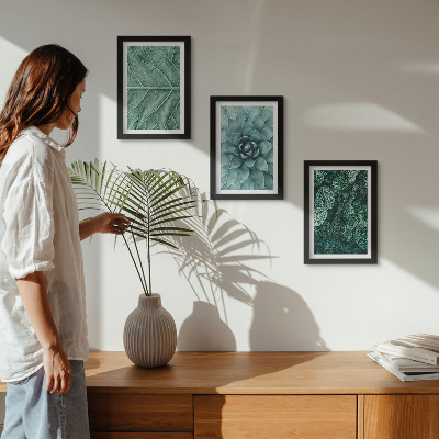 Photo frame wall Close-ups of succulent plants and leaves