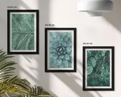 Photo frame wall with close-ups of succulent plants and leaves