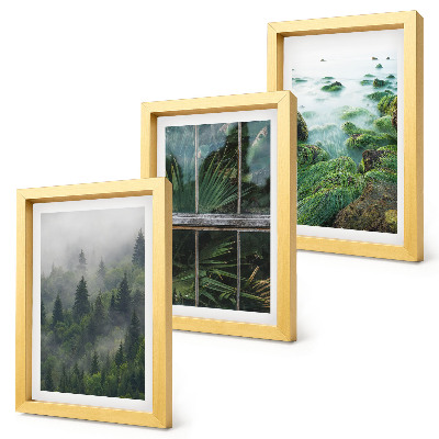 Framed triptych A forest in the fog, a river bank, and a greenhouse with plants
