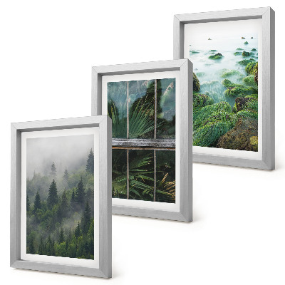 Framed triptych A forest in the fog, a river bank, and a greenhouse with plants