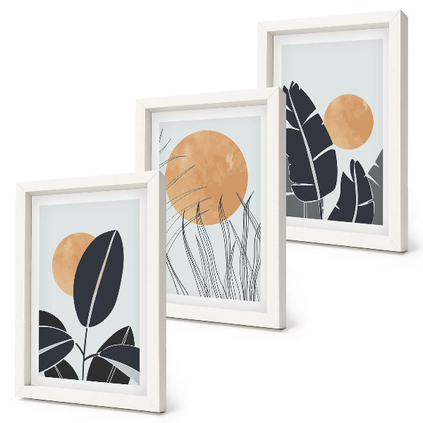 3-piece wall art set Plant patterns with large suns, minimalist style