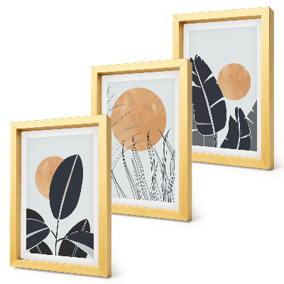 3-piece wall art set Plant patterns with large suns, minimalist style