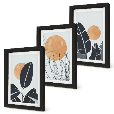 3-piece wall art set Plant patterns with large suns, minimalist style