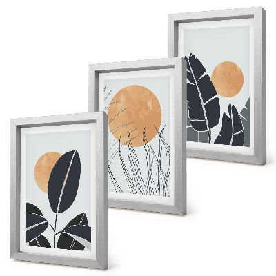 3-piece wall art set Plant patterns with large suns, minimalist style