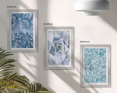 Photo frame wall Winter forest blue flower blue water surface