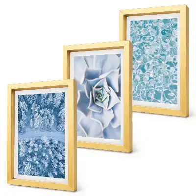 Photo frame wall with winter forest, blue flowers, and water surface print