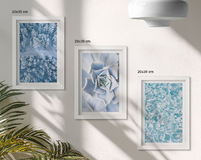 Photo frame wall Winter forest blue flower blue water surface