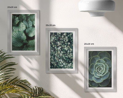 Photo frame wall Green leafy plants and stylish succulents