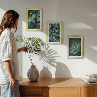Photo frame wall Green leafy plants and stylish succulents