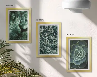 Photo frame wall green leafy plants and stylish succulents theme