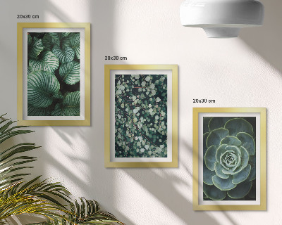 Photo frame wall Green leafy plants and stylish succulents