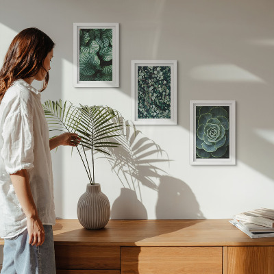 Photo frame wall Green leafy plants and stylish succulents