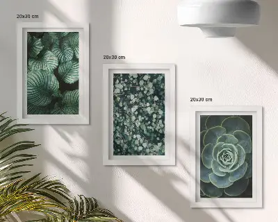 Photo frame wall green leafy plants and stylish succulents theme