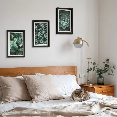 Photo frame wall green leafy plants and stylish succulents theme