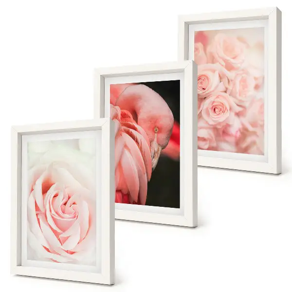 Photo frame wall in delicate pastel pink and flamingo shades