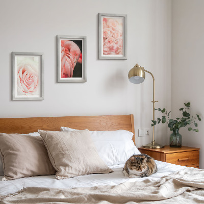 Photo frame wall Pastel pinks and flamingo in delicate shades