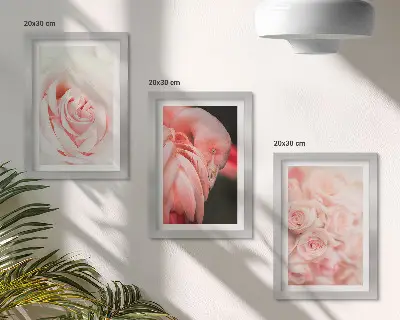 Photo frame wall in delicate pastel pink and flamingo shades