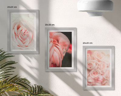 Photo frame wall Pastel pinks and flamingo in delicate shades